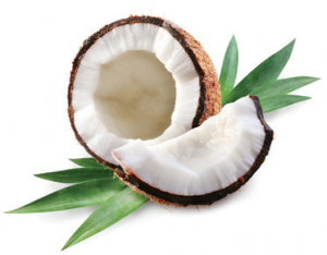 Coconut Breeze Nutrimeal